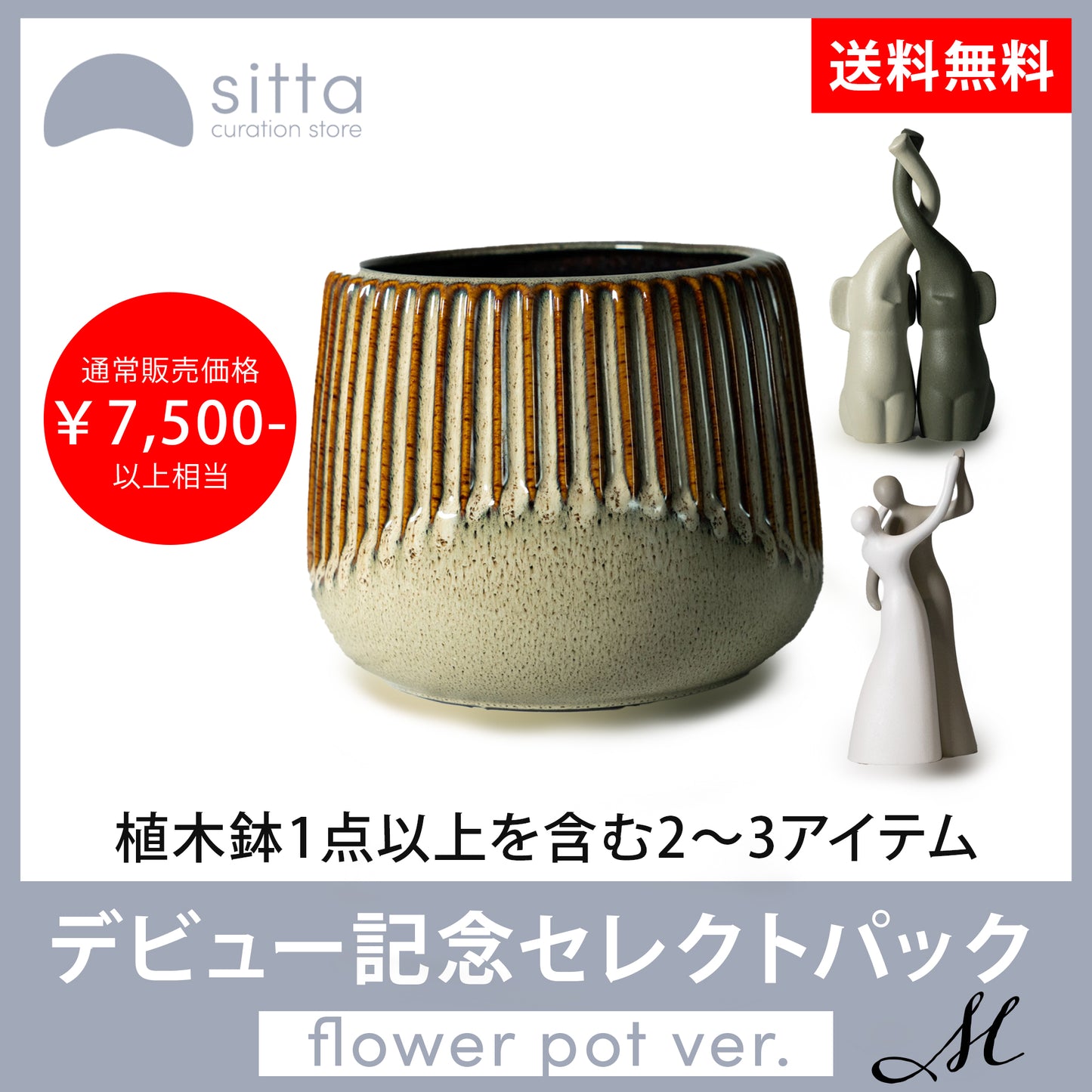 デビュー記念セレクトパック M